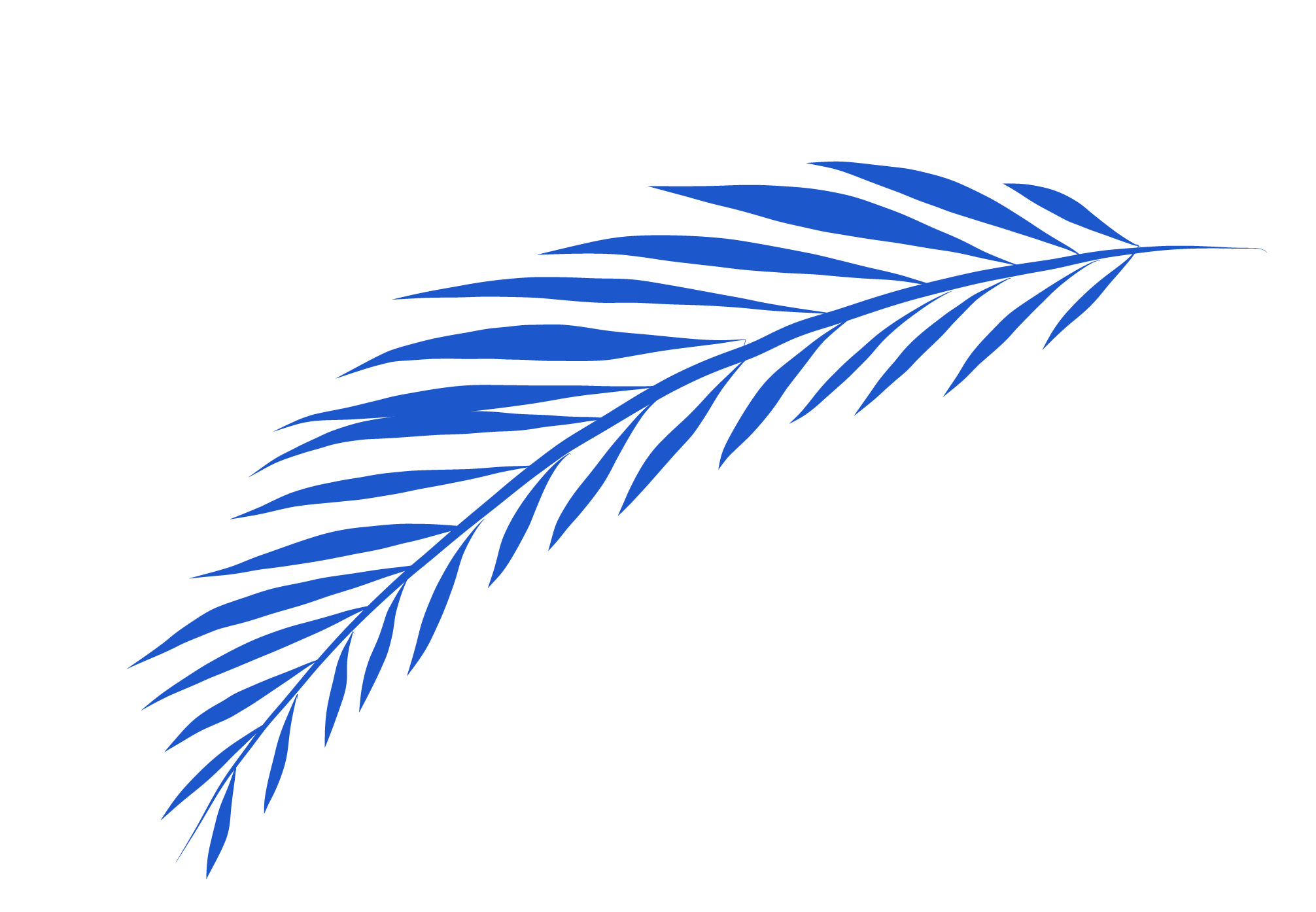 Decorativo DER 05